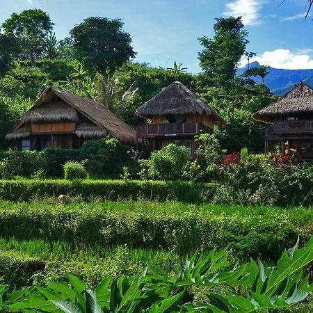 Готель Rinjani Mountain Garden Bayan Екстер'єр фото