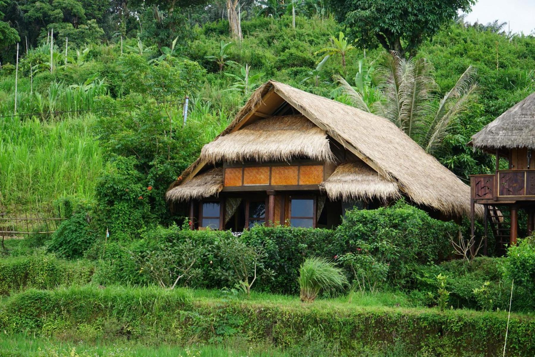 Готель Rinjani Mountain Garden Bayan Екстер'єр фото
