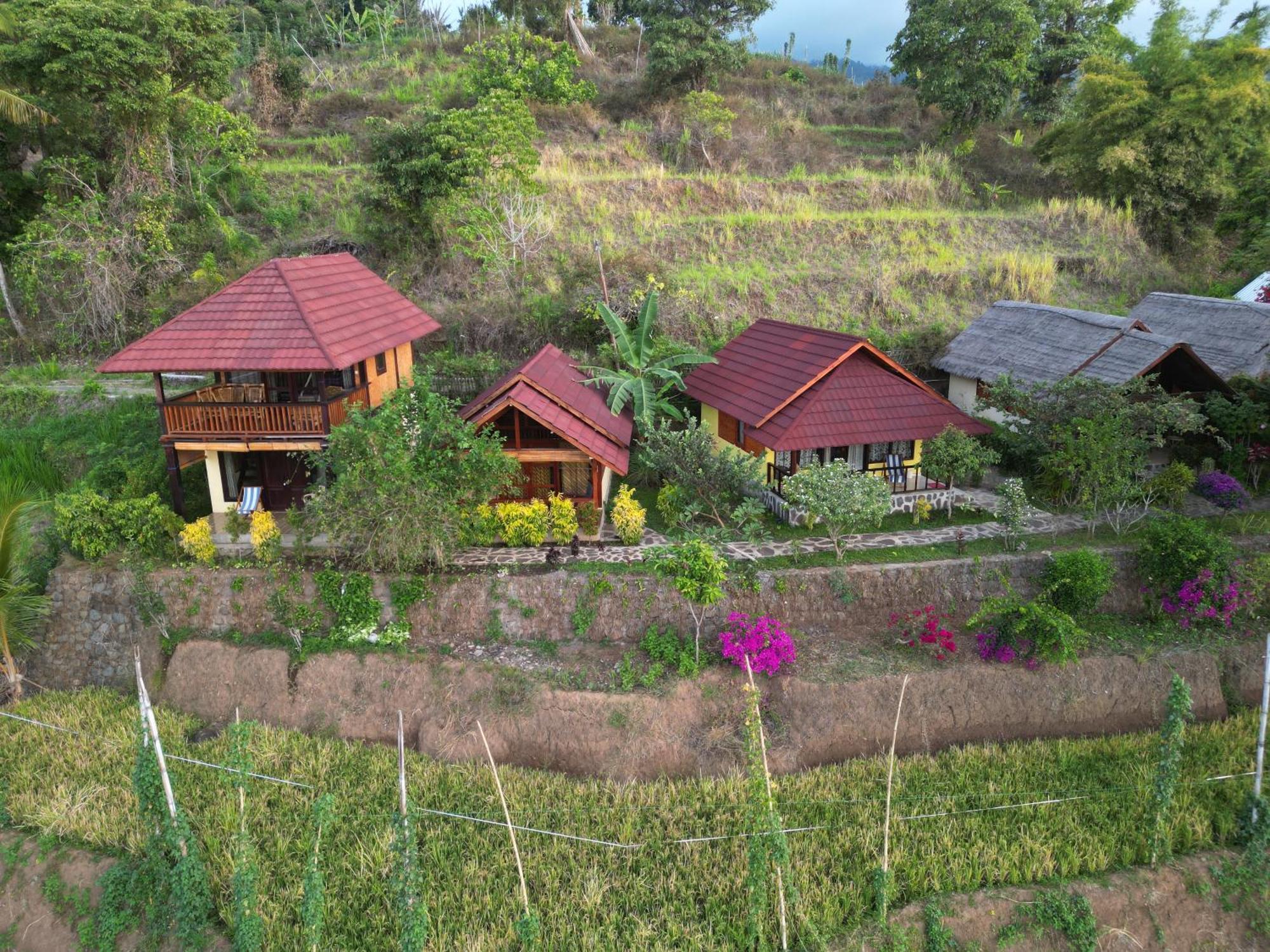 Готель Rinjani Mountain Garden Bayan Екстер'єр фото