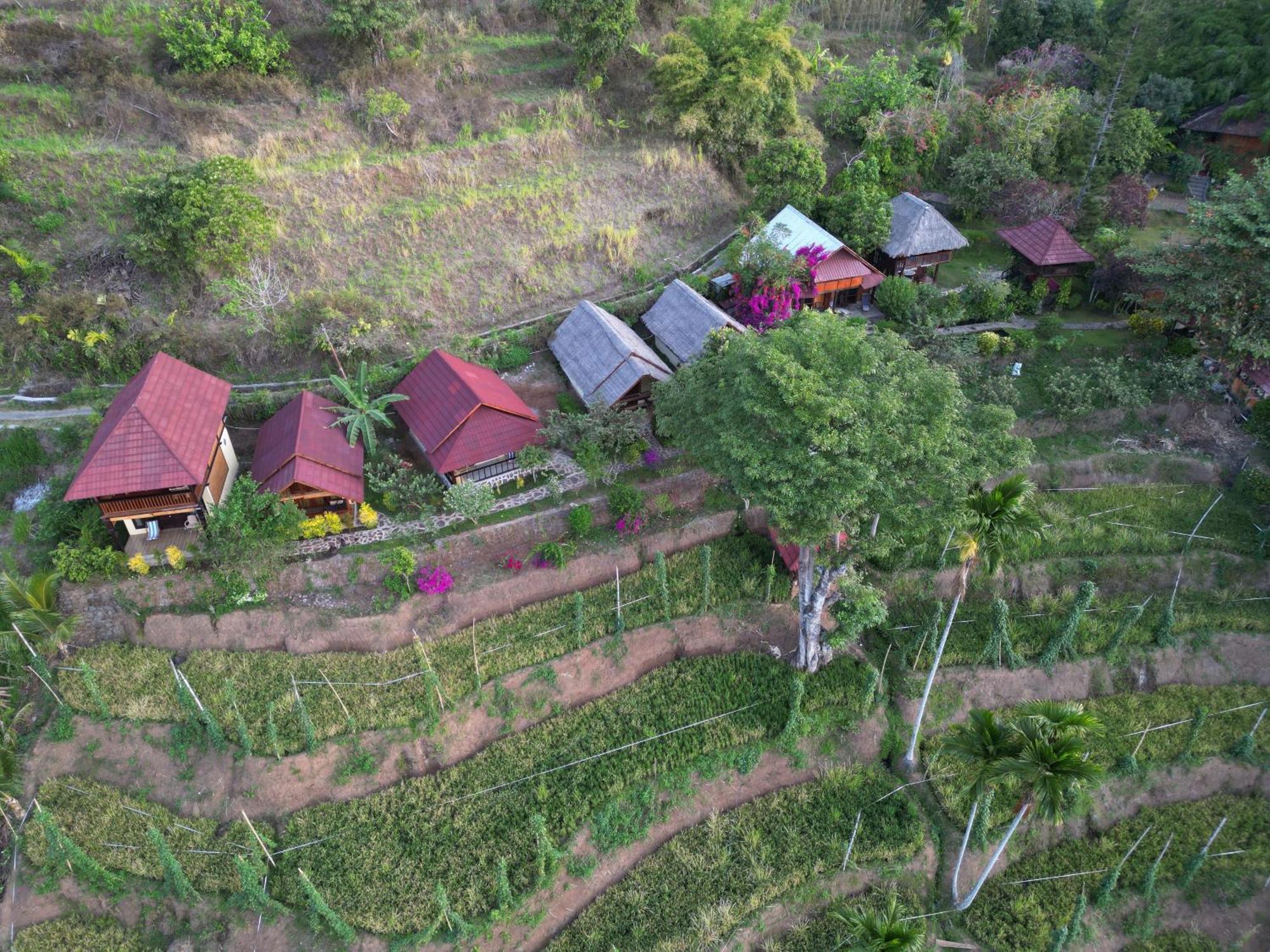Готель Rinjani Mountain Garden Bayan Екстер'єр фото