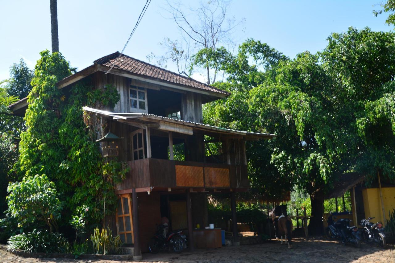 Готель Rinjani Mountain Garden Bayan Екстер'єр фото
