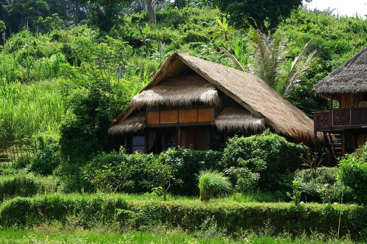 Готель Rinjani Mountain Garden Bayan Екстер'єр фото