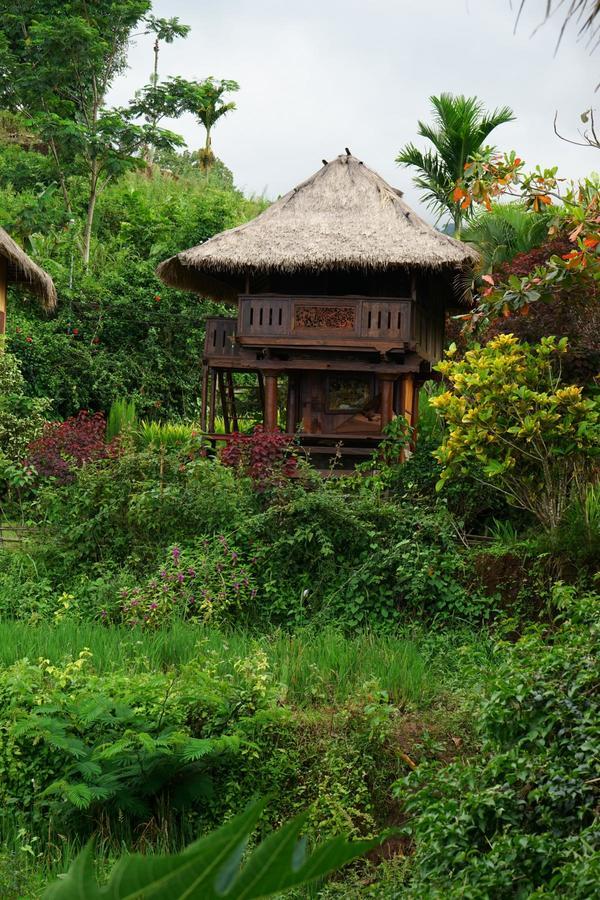 Готель Rinjani Mountain Garden Bayan Екстер'єр фото