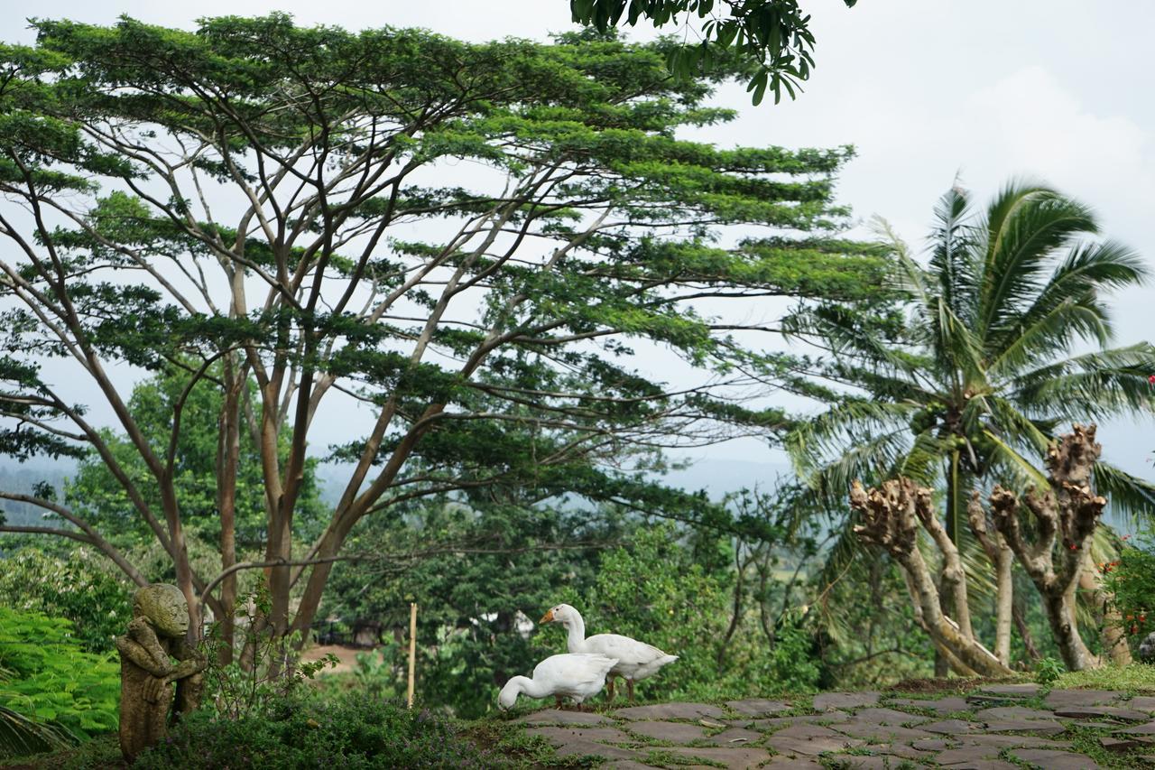 Готель Rinjani Mountain Garden Bayan Екстер'єр фото
