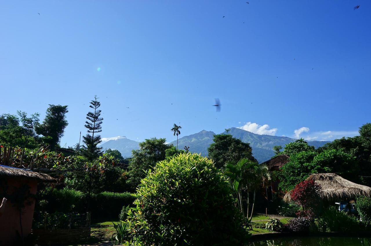 Готель Rinjani Mountain Garden Bayan Екстер'єр фото