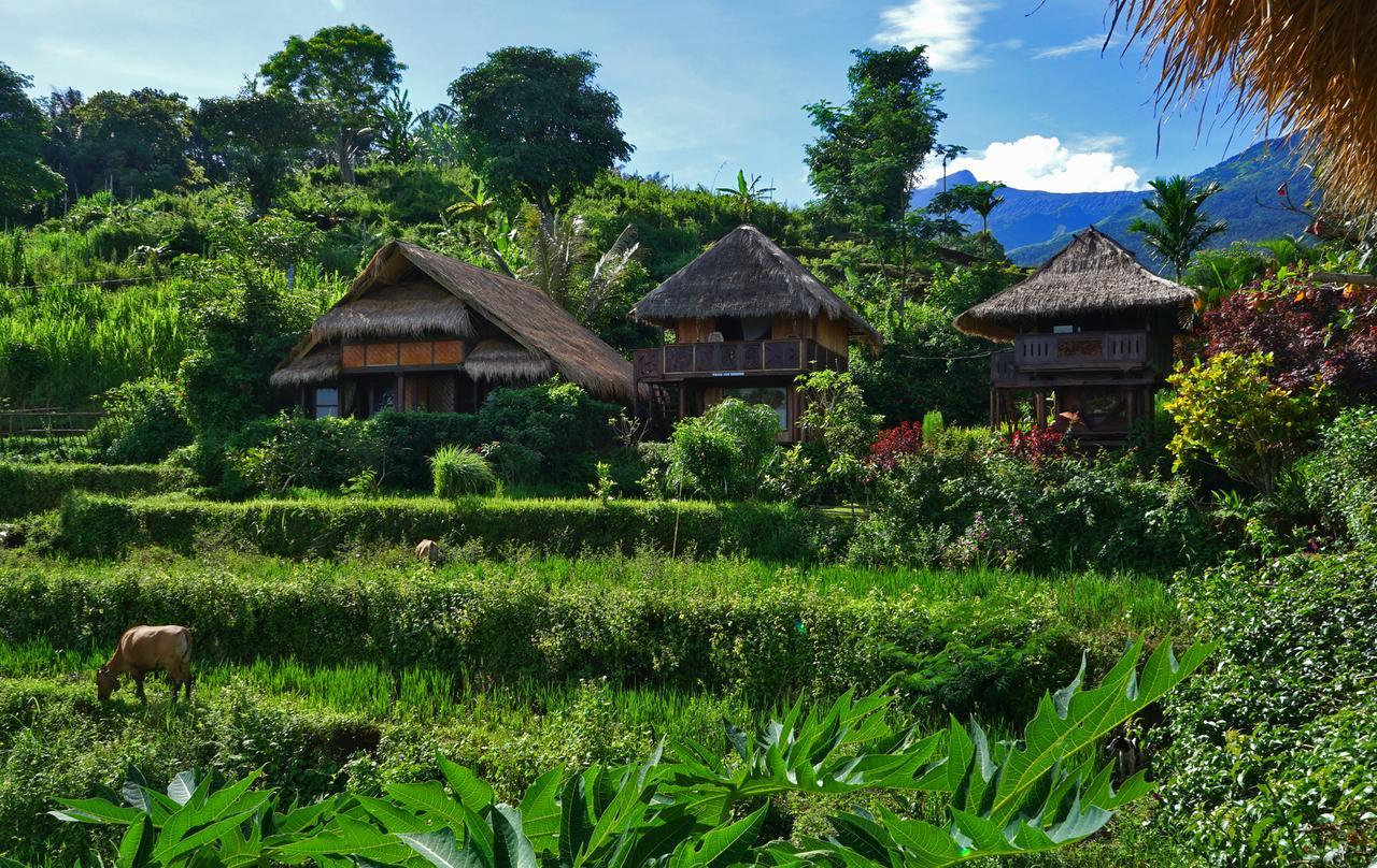 Готель Rinjani Mountain Garden Bayan Екстер'єр фото